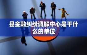 县金融纠纷调解中心是干什么的单位