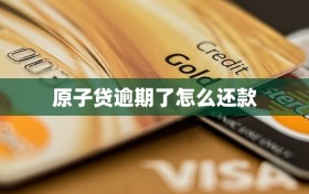 原子贷逾期了怎么还款