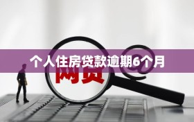 个人住房贷款逾期6个月