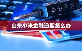 山东小米金融逾期怎么办