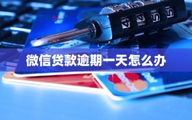 微信贷款逾期一天怎么办