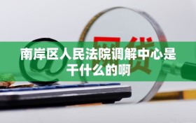 南岸区人民法院调解中心是干什么的啊