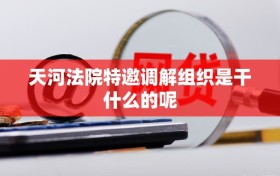 天河法院特邀调解组织是干什么的呢