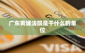 广东黄埔法院是干什么的单位