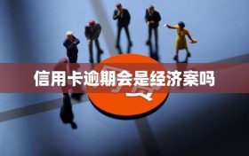 信用卡逾期会是经济案吗