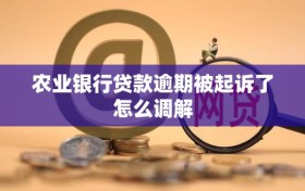 农业银行贷款逾期被起诉了怎么调解
