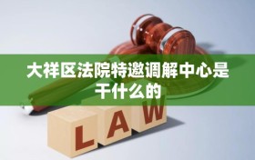 大祥区法院特邀调解中心是干什么的