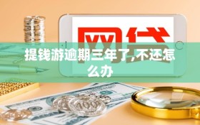 提钱游逾期三年了,不还怎么办