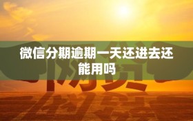 微信分期逾期一天还进去还能用吗