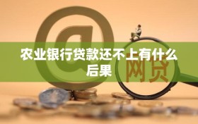 农业银行贷款还不上有什么后果