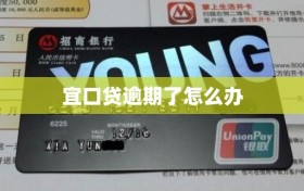 宜口贷逾期了怎么办