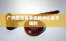 广州鼎翊商事调解中心是干嘛的
