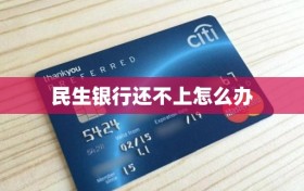 民生银行还不上怎么办