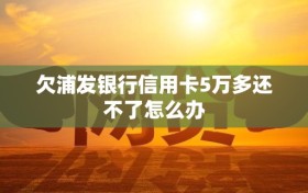 欠浦发银行信用卡5万多还不了怎么办