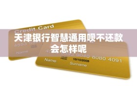 天津银行智慧通用呗不还款会怎样呢