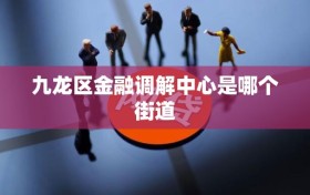九龙区金融调解中心是哪个街道