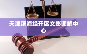 天津滨海经开区文影调解中心