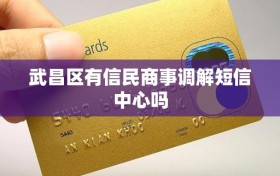 武昌区有信民商事调解短信中心吗