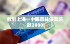 收到上海一中院善林催款还款2000