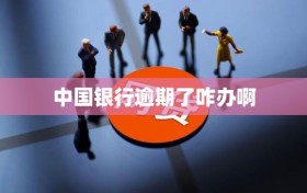 中国银行逾期了咋办啊