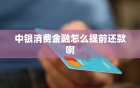 中银消费金融怎么提前还款啊