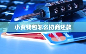 小资钱包怎么协商还款