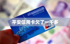 平安信用卡欠了一千多