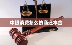 中银消费怎么协商还本金