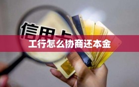 工行怎么协商还本金