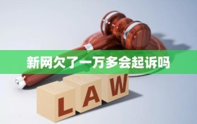 新网欠了一万多会起诉吗