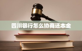 四川银行怎么协商还本金