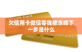 欠信用卡微信零钱被冻结下一步是什么