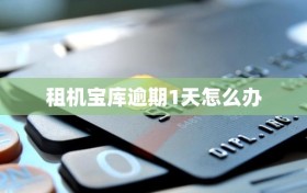 租机宝库逾期1天怎么办