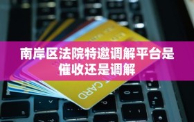 南岸区法院特邀调解平台是催收还是调解