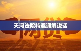 天河法院特邀调解说话
