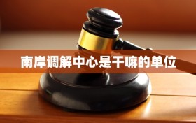 南岸调解中心是干嘛的单位