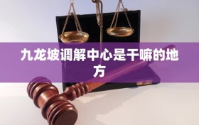 九龙坡调解中心是干嘛的地方