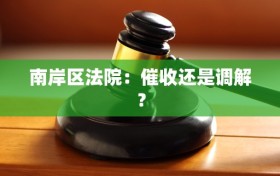 南岸区法院：催收还是调解？