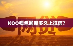 KOO钱包逾期多久上征信？