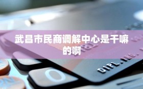 武昌市民商调解中心是干嘛的啊