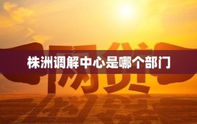 株洲调解中心是哪个部门