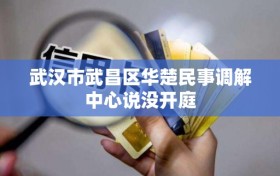 武汉市武昌区华楚民事调解中心说没开庭