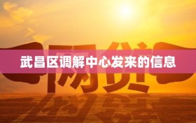 武昌区调解中心发来的信息
