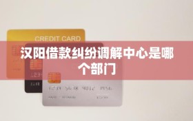 汉阳借款纠纷调解中心是哪个部门