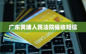 广东黄埔人民法院催收短信