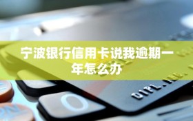 宁波银行信用卡说我逾期一年怎么办
