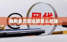 备用金欠款逾期怎么处理