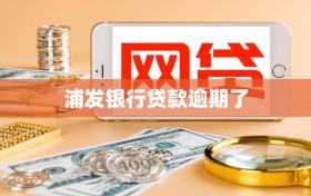 浦发银行贷款逾期了