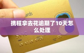 携程拿去花逾期了10天怎么处理