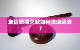 友信逾期欠款如何快速还清？